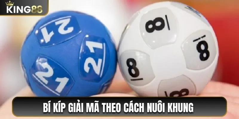 Giải Mã Số Học Ý Nghĩa Của Các Con Số Trong Thần Số Học 3 Bí kíp giải mã theo cách nuôi khung